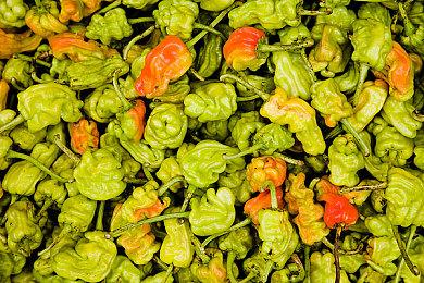 传闻：PS5独占游戏《瑞奇与叮当：分离》或将登陆PC